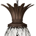 Hinkley Plantation Alternative Image 12.5" Outdoor Large Hanging Lantern in Copper Bronze Finish Alternative Image 2