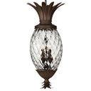 Hinkley Plantation Alternative Image 12.5" Outdoor Large Hanging Lantern in Copper Bronze Finish Alternative Image 4