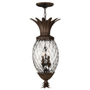 Hinkley Plantation 12.5" Outdoor Large Hanging Lantern in Copper Bronze Finish 