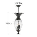 Hinkley Plantation Alternative Image 12.5" Outdoor Large Hanging Lantern in Museum Black Finish Alternative Image 1