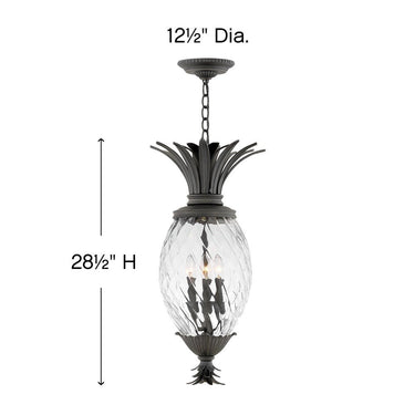 Hinkley Plantation Alternative Image 12.5" Outdoor Large Hanging Lantern in Museum Black Finish Alternative Image 1