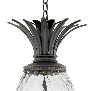 Hinkley Plantation Alternative Image 12.5" Outdoor Large Hanging Lantern in Museum Black Finish Alternative Image 2