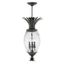 Hinkley Plantation 12.5" Outdoor Large Hanging Lantern in Museum Black Finish 