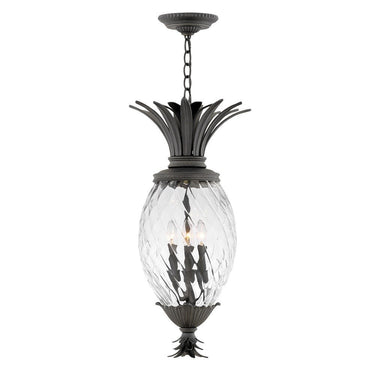 Hinkley Plantation 12.5" Outdoor Large Hanging Lantern in Museum Black Finish 