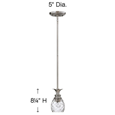 Hinkley Plantation Extra Small Pendant Alternative Image 4