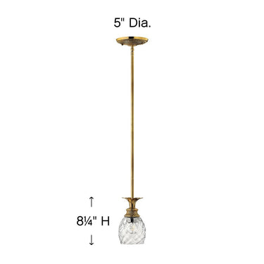 Hinkley Plantation Extra Small Pendant in Burnished Brass Finish Alternative Image 1