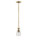 Hinkley Plantation Extra Small Pendant in Burnished Brass Finish 