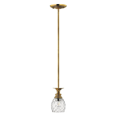 Hinkley Plantation Extra Small Pendant in Burnished Brass Finish 