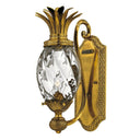 Hinkley Plantation Medium Single Light Sconce in Burnished Brass Finish 