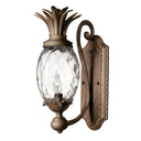 Hinkley Plantation Medium Single Light Sconce in Pearl Bronze Finish 