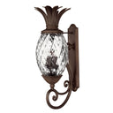 Hinkley Plantation Outdoor Extra Large Wall Mount Lantern 