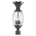 Hinkley Plantation Outdoor Large Post Mount Lantern in Museum Black Finish 