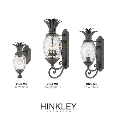 Hinkley Plantation Outdoor Large Wall Mount Lantern - Alternative Image 2120MB Alternative Image 4