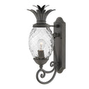 Hinkley Plantation Outdoor Large Wall Mount Lantern - 2120MB 