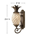 Hinkley Plantation Outdoor Large Wall Mount Lantern - Alternative Image 2120PZ Alternative Image 1