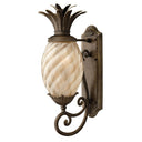 Hinkley Plantation Outdoor Large Wall Mount Lantern - 2120PZ 