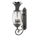 Hinkley Plantation Outdoor Large Wall Mount Lantern - 2124MB 