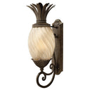 Hinkley Plantation Outdoor Large Wall Mount Lantern - 2124PZ 