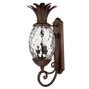 Hinkley Plantation Outdoor Large Wall Mount Lantern - 2224CB 