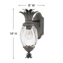 Hinkley Plantation Outdoor Medium Wall Mount Lantern in Museum Black Finish Alternative Image 1