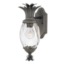 Hinkley Plantation Outdoor Medium Wall Mount Lantern in Museum Black Finish 