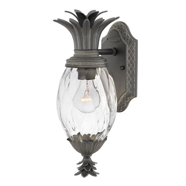 Hinkley Plantation Outdoor Medium Wall Mount Lantern in Museum Black Finish 
