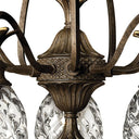 Hinkley Plantation Small Single Tier Chandelier in Pearl Bronze Finish Alternative Image 2