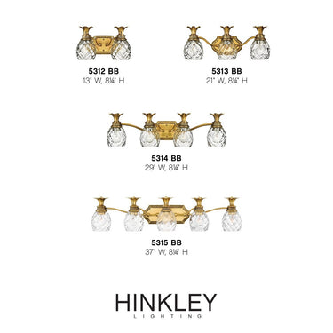 Hinkley Plantation Small Two Light Vanity Wall Sconce Alternative Image 2