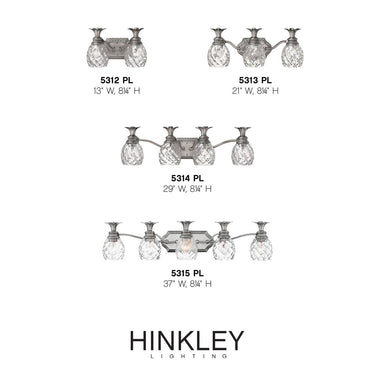Hinkley Plantation Small Two Light Vanity Wall Sconce Alternative Image 5