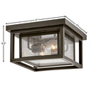Hinkley Republic Outdoor Small Flush Mount Alternative Image 8