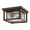 Hinkley Republic Outdoor Small Flush Mount Alternative Image 5