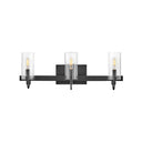 Hinkley Ryden Medium Three Light Vanity Wall Sconce 