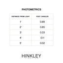 Hinkley Saturn LED Path Light Aluminum Alternative Image 4