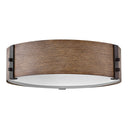 Hinkley Sawyer Outdoor Medium Flush Mount Alternative Image 4