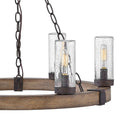 Hinkley Sawyer Outdoor Medium Single Tier Chandelier - HL29206 Alternative Image 6