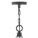 Hinkley Sawyer Outdoor Medium Single Tier Chandelier - HL29208 Alternative Image 7