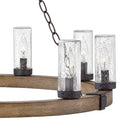 Hinkley Sawyer Outdoor Medium Single Tier Chandelier - HL29208 Alternative Image 10