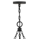 Hinkley Sawyer Outdoor Medium Single Tier Chandelier - HL29208 Alternative Image 2