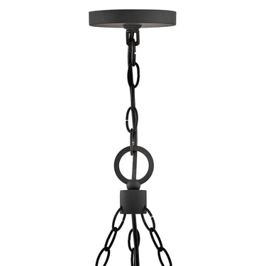 Hinkley Sawyer Outdoor Medium Single Tier Chandelier - HL29208 Alternative Image 2