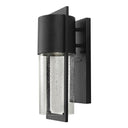 Hinkley Shelter 15.5" High Outdoor Medium Wall Mount Lantern 