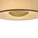 Hinkley Sonia Large Pendant Alternative Image 6