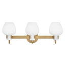 Hinkley Sylvie Medium Vanity Wall Sconce Alternative Image 8