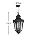Hinkley Trafalgar Alternative Image 12" Outdoor Large Hanging Lantern Alternative Image 1