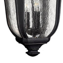 Hinkley Trafalgar Alternative Image 12" Outdoor Large Hanging Lantern Alternative Image 2