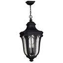 Hinkley Trafalgar 12" Outdoor Large Hanging Lantern 