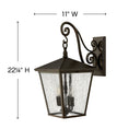Hinkley Trellis Outdoor Large Wall Mount Lantern - Alternative Image 1435RB Alternative Image 1