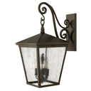 Hinkley Trellis Outdoor Large Wall Mount Lantern - 1438RB 