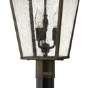 Hinkley Trellis Outdoor Medium Post Mount Lantern Alternative Image 1