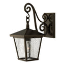 Hinkley Trellis Outdoor Medium Wall Mount Lantern - 1430RB 
