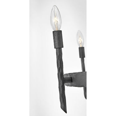 Hinkley Tress Large Single Tier Chandelier Alternative Image 7